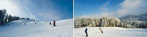 Горные лыжи и зимние виды спорта 